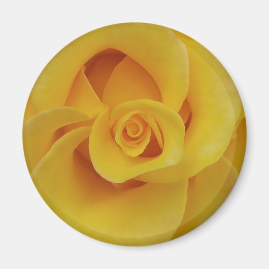 Romantic Yellow Rose Petals Magneet (Voorkant)