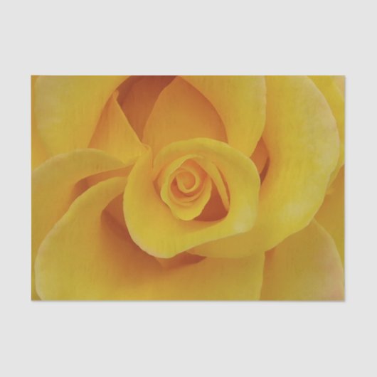 Romantic Yellow Rose Petals Tissuepapier