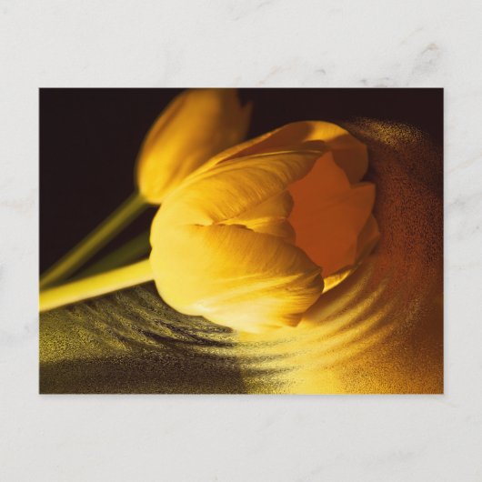 Romantic Yellow Tulip Briefkaart (Voorkant)