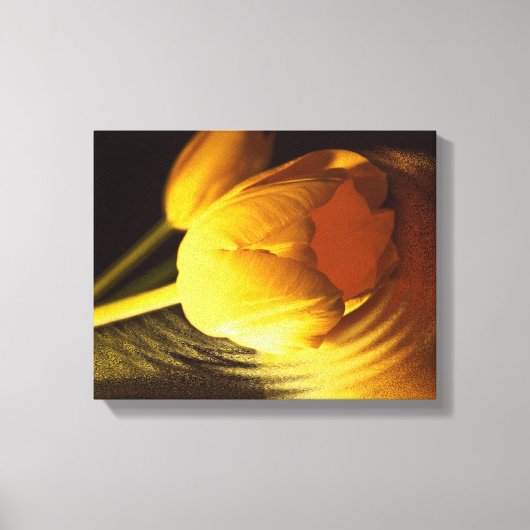 Romantic Yellow Tulip Canvas Afdruk (Voorkant)
