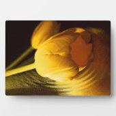 Romantic Yellow Tulip Fotoplaat (voorkant)