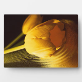 Romantic Yellow Tulip Fotoplaat