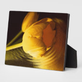 Romantic Yellow Tulip Fotoplaat (Zijkant)