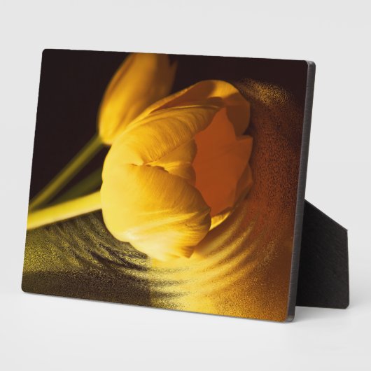 Romantic Yellow Tulip Fotoplaat (Zijkant)