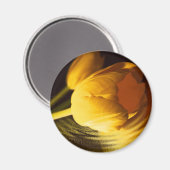 Romantic Yellow Tulip Magneet (Voorkant / Achterkant)