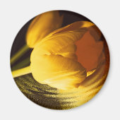 Romantic Yellow Tulip Magneet (Voorkant)