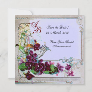 ROMANTICA 4 MONOGRAAF ,Blauw Kaart