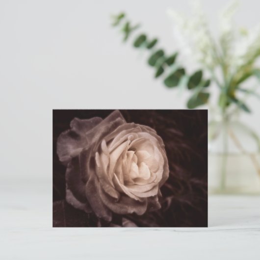 Romantica - dit roos zegt liefde briefkaart (Staand voorkant)