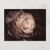 Romantica - dit roos zegt liefde briefkaart (Voorkant)