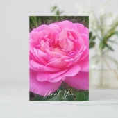 Romantieke Roze Roos 'Leonardo Da Vinci'    Bedankkaart (Staand voorkant)