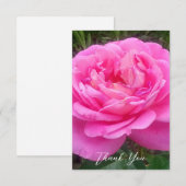 Romantieke Roze Roos 'Leonardo Da Vinci'    Bedankkaart (Voorkant / Achterkant)