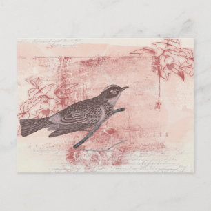 romantisch bird drawing grunge artistic letter lov briefkaart