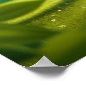 Romantisch boompaarmonogram poster (Hoek)