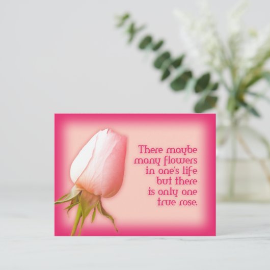 Romantisch citaat slechts één roos briefkaart (Staand voorkant)