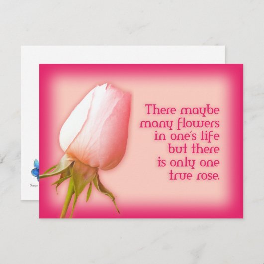 Romantisch citaat slechts één roos briefkaart (Voorkant / Achterkant)