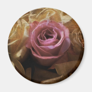  romantisch een van de liefdes van een soort, éé magneet