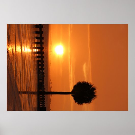 Romantisch Florida Tampa zonsondergang poster Groo (Voorkant)
