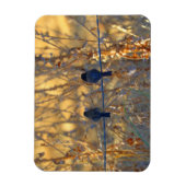 Romantisch koppel dunwandige vogel op een draad, 3 magneet (Verticaal)