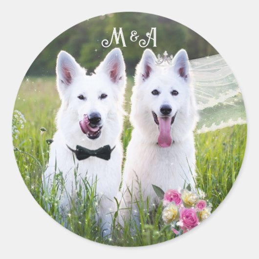 Romantisch paar honden gaan trouwen ronde sticker (Voorkant)