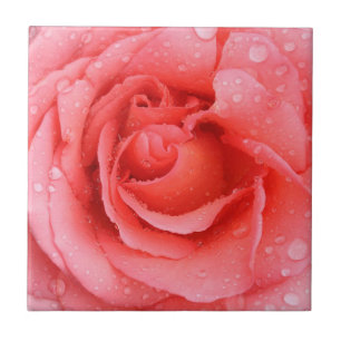Romantisch Rode Roze Rozenwaterdruppels Tegeltje