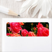 Romantisch rood sinaasappel koraal rozen bloemenfo etiket (Insitu)