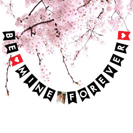 Romantisch Rood Zwart Huwelijk Voorstel Paar Foto Vlaggetjes