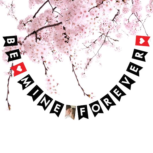 Romantisch Rood Zwart Huwelijk Voorstel Paar Foto Vlaggetjes