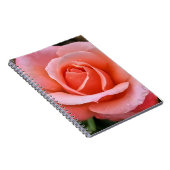 Romantisch Roos Botanische kunst Print Notitieboek (Rechterzijde)