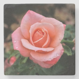 Romantisch Roos Botanische kunst Print Stenen Onderzetter