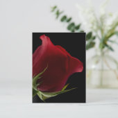 Romantisch Roos Briefkaart (Staand voorkant)