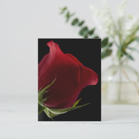 Romantisch Roos Briefkaart (Staand voorkant)