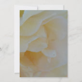 Romantisch Roos Kaart (Achterkant)