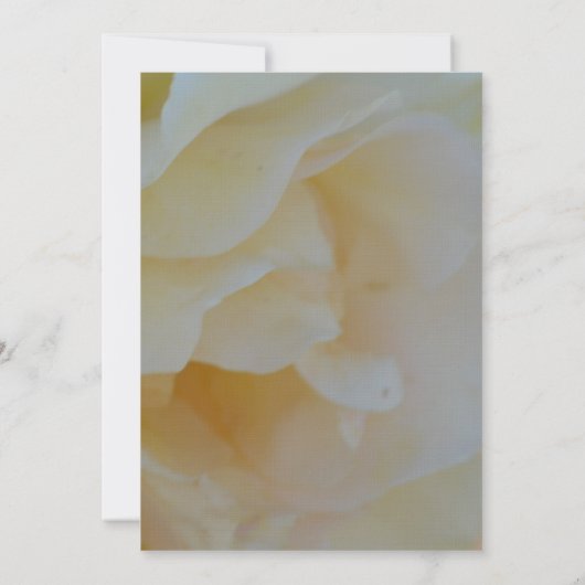 Romantisch Roos Kaart (Achterkant)