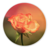 Romantisch Roos Keramische Knop (Voorkant)