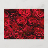 Romantisch roos liefde Valentijnsdag briefkaart (Voorkant)