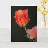 Romantisch Roos Verjaardag Kaart (Gele Bloem)