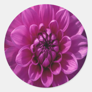Romantisch Roze Bloemmotief Ronde Sticker