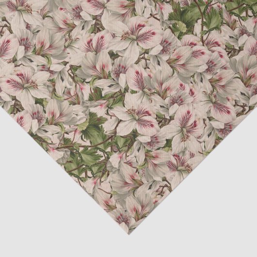 Romantisch roze  lily Waterverf stijlvol Tissuepapier (Detail)