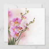 Romantisch Roze Orchideeën Vrijgezellenfeest Kaart (Achterkant)