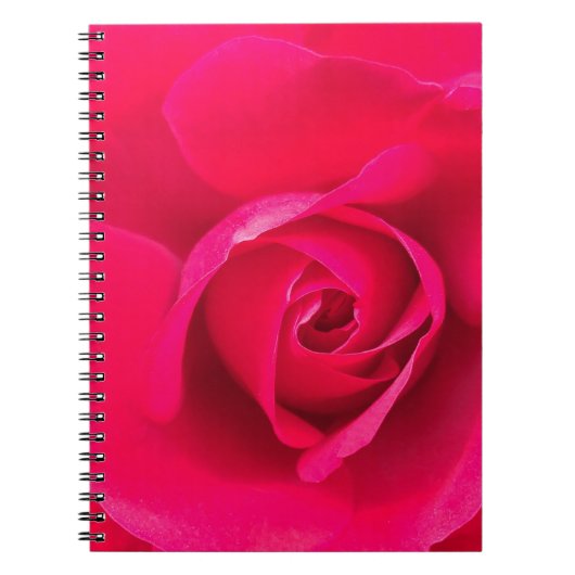 Romantisch roze rode roos v2 notitieboek (Voorkant)