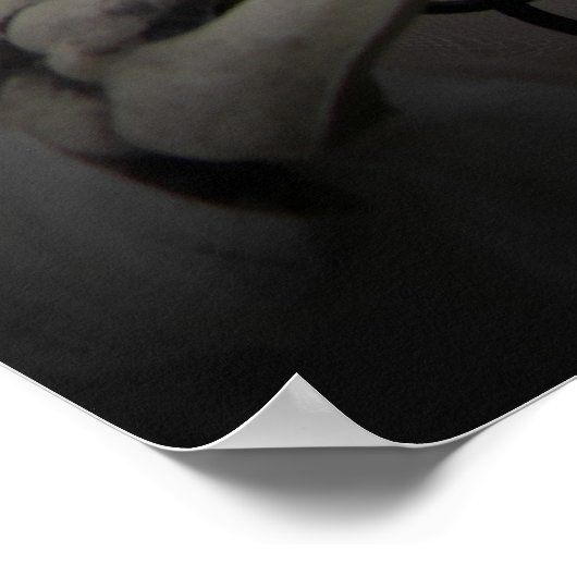 Romantisch skelet met roos poster (Hoek)