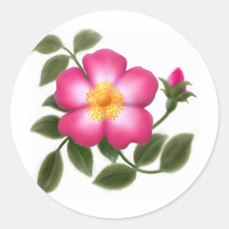 Romantisch wild Roos Ronde Sticker
