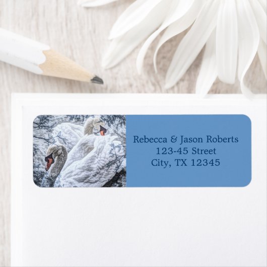 romantisch wintermeer witte zwaluw bruiloft etiket (Insitu)