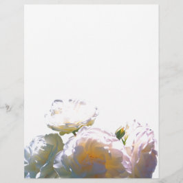 Romantisch wit, geel, oranje, goudamberkleurig roo