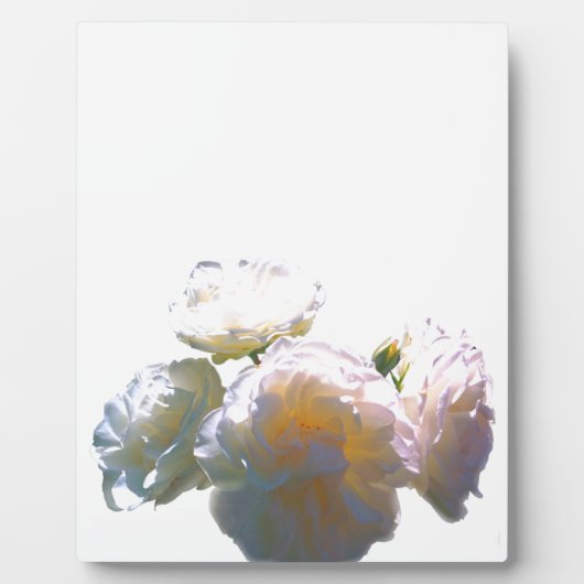 Romantisch wit, geel, oranje, goudamberkleurig roo fotoplaat (Voorkant)