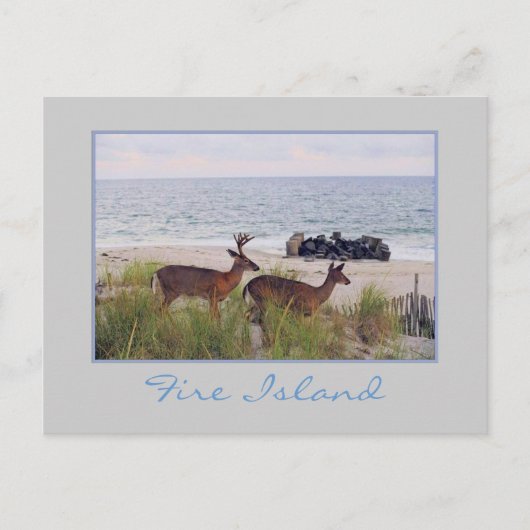 'Romantische avondwandeling langs het strand' Brie Briefkaart (Voorkant)