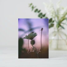 Romantische Bloemen Boho – Botanische Fantasie Bed