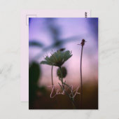 Romantische Bloemen Boho – Botanische Fantasie Dan Briefkaart (Voorkant / Achterkant)