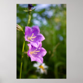 Romantische Bloemen – Botanische Fantasy Boho Poster (Voorkant)