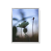 Romantische bomen & bloemen – Botanische fantasie
